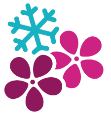 Colette Snow Media logo